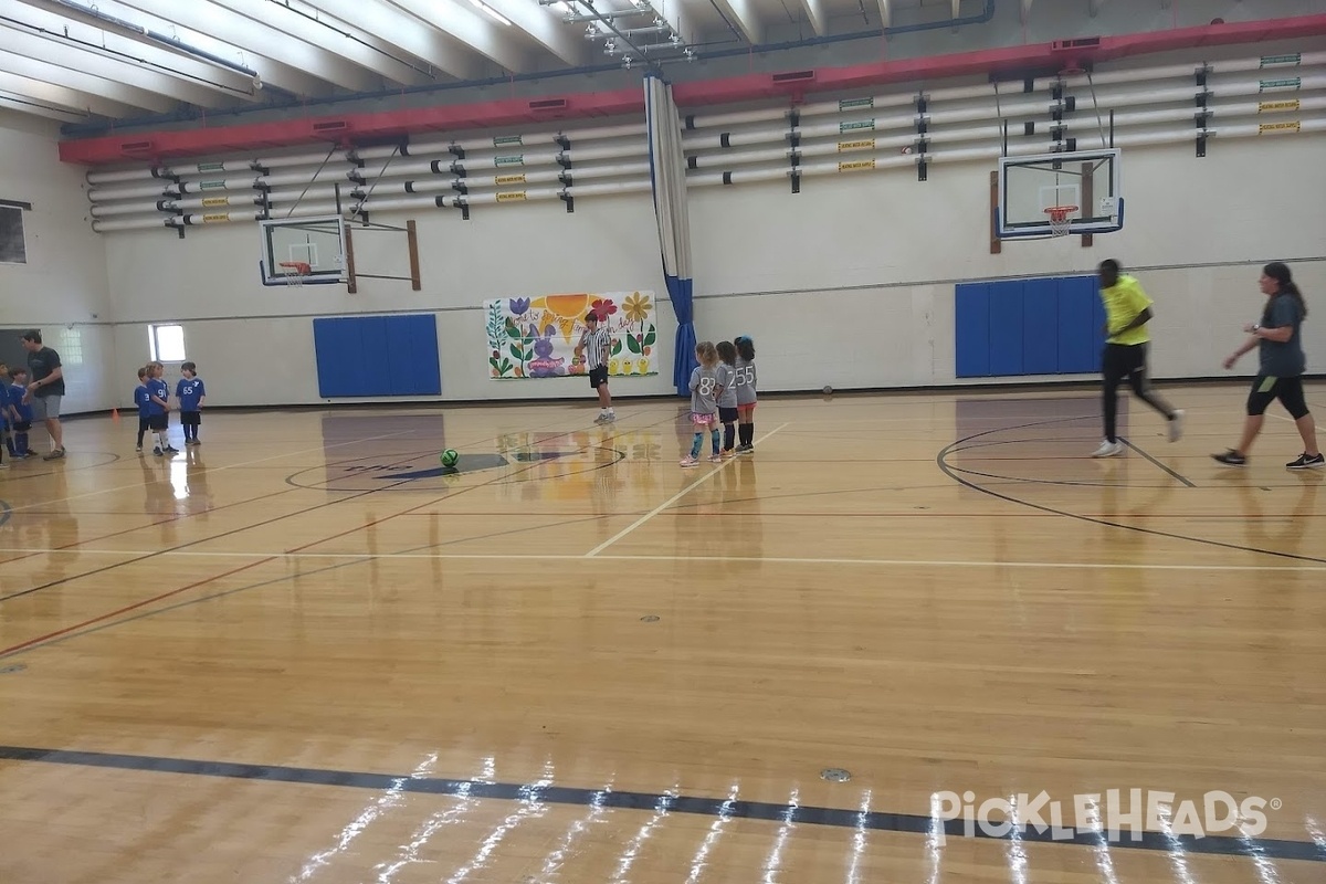 Photo of Pickleball at Townlake YMCA